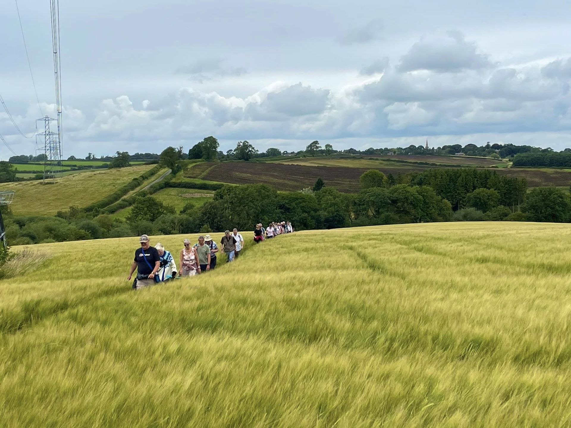 through the long grass